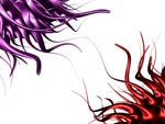 virus warning image